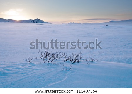 Lapland Winterlandscape on the Kungsleden et Sunset