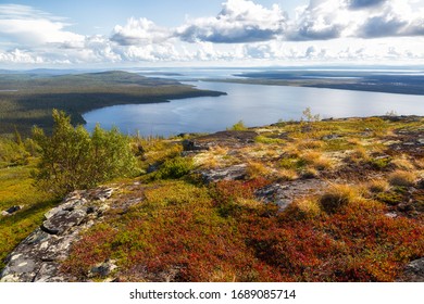 Lapland Zapovednik In Autumn. Kola Peninsula. Russia