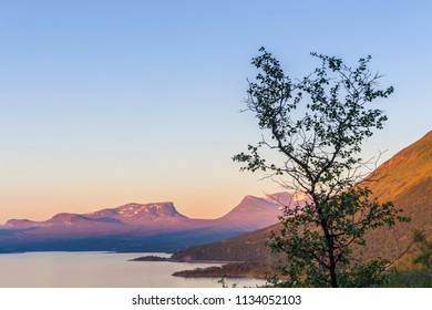 Lapporten - A Port To Swedish Lapland - Midnight Sun View With Tree At Foreground