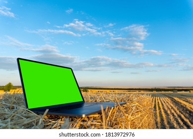 Laptop In The Autumn Field With Green Chromakey Screen