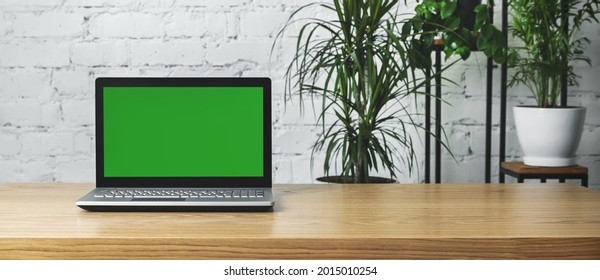 Laptop With Blank Screen On The Table In Modern Office With Green Plants. Mockup Banner