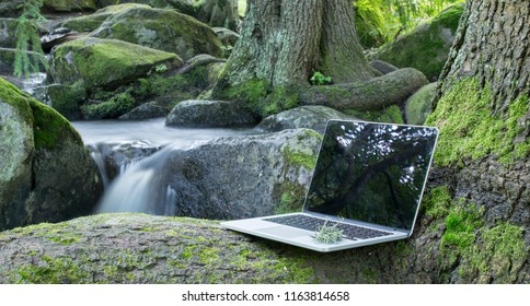Laptop computer with a forest background