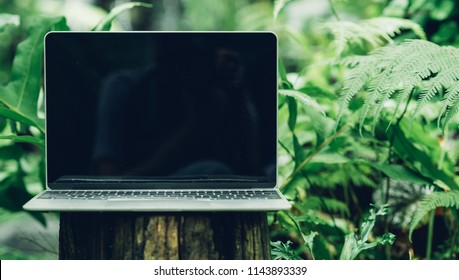 Laptop Computer Mockup Has Empty Screen Outside On Stone In Garden Of Coffee Shop.