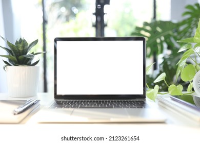 Laptop And Indoor Plants Work From Home Set Up