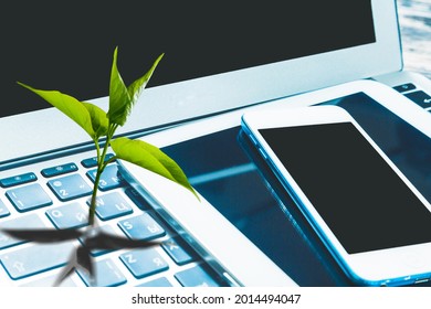 Laptop Keyboard With A Green Plant Growing On It. Carbon Efficient Technology. Digital Sustainability