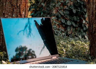 Laptop Out In Nature On A Sunny Day