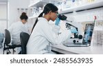 Laptop, research and woman with microscope, science and check experiment for cancer treatment. Person, scientist and employee with lab equipment, vaccine and cure development with dna and bacteria