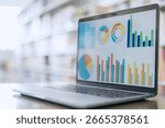 Laptop screen displaying graphs representing business concepts.