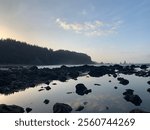 LaPush Third Beach in Washington 