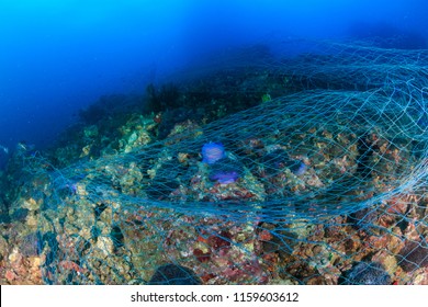 5,587 Fishing Net Underwater Images, Stock Photos & Vectors | Shutterstock