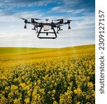 A large agricultural drone sprays rapeseed fields to protect against pests and increase yields