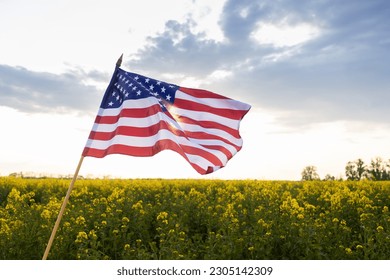 large American flag flies over a yellow rapeseed field. Independence Day of the United States of America. Pride, Patriotism. country symbol. Travel, vacation - Shutterstock ID 2305142309