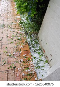 Large Amount Of Hail Scattered Everywhere Around The House After A Massive Hail Storm Hit In Sydney, Australia.