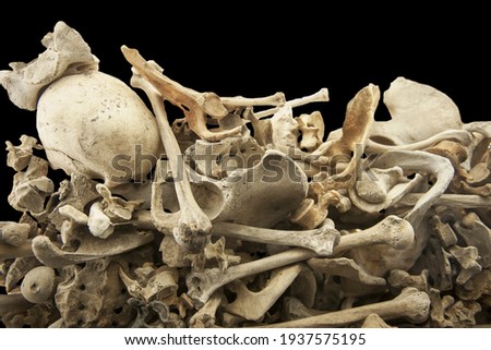 Large amount of human bones thrown into a mass grave. Fontanelle cemetery - Napoli