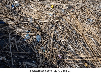 A large amount of plastic waste is mixed with sticks and natural debris along a shoreline. The area shows signs of pollution and environmental impact from human activity.