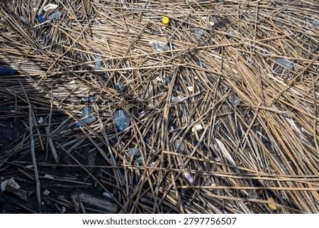 A large amount of plastic waste is mixed with sticks and natural debris along a shoreline. The area shows signs of pollution and environmental impact from human activity.