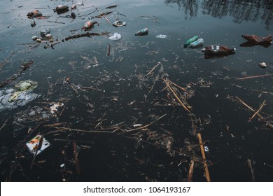 A large amount of trash polluting our waters. ecology