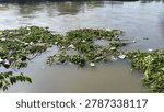 Large amounts of garbage accumulate in a river stream, highlighting environmental pollution and waste management problems in urban waterways.