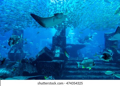 Large Aquarium In Dubai, United Arab Emirates