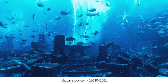 Large Aquarium Panorama With Many Fishes