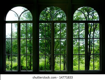 Large arched windows looking out into a garden or forest