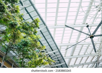 Large Area Indoor Living Mall With Green Tree HVLS Fan For Cooling Air Flow And Sunlight Glass Roof For Eco Building Saving Energy