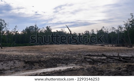 Large Arid And Muddy Land With A Backdrop Of Mangrove Forests And Clear Skies, In The Village Of Belo Laut In The Afternoon