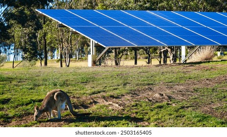 Large array of free standing solar energy panels. hunter valley australia