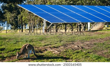 Large array of free standing solar energy panels. hunter valley australia