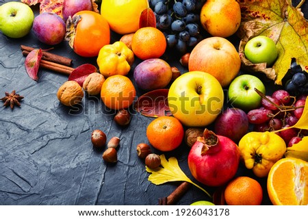 Large assortment of fruits,grapes and nuts.Autumn still life