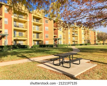 Large backyard of apartment building complex with row of bald cypress tree colorful fall foliage in Irving, Texas, USA. Rental housing community with outdoor picnic table and clean concrete pathway