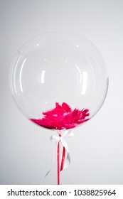 Large balloon with red feather inside hangs on white background