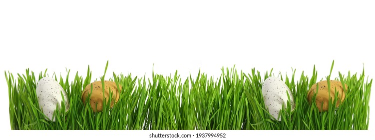 Large Banner With Easter Eggs Hidden In Green Grass, Cut Out Isolated On White Background For Template Design