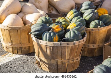 Large Baskets Of Acorn Squash And Butternut Squash