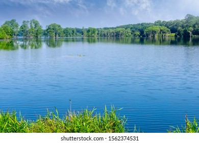 Large and beautiful Piney Z Lake in Leon County, Tallahassee, Florida
