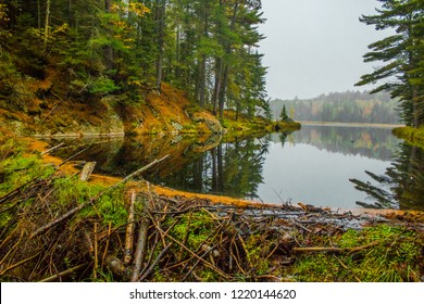 Large beaver dam which flooded marshes and created lake, Algonquin Park, Ontario, Canada