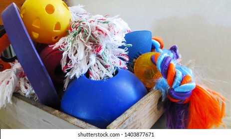 A Large Bin Full Of Dog Toys!