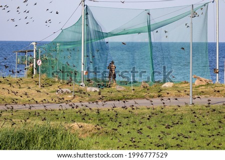 Large bird trap at the ornithological station in Lithuania located at cape Vente near Curonian lagoon .Birds catching in nets with purpose to follow their migration route. 