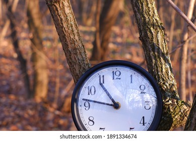 Large Black Clock With Winter Forest Background