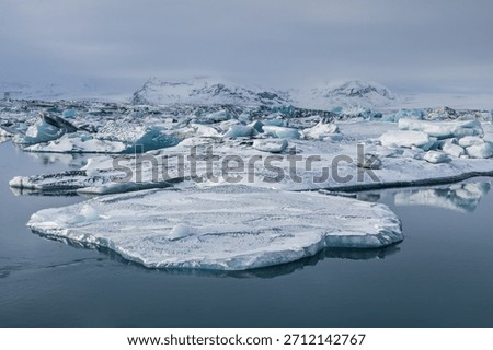 Large blue ice blocks drift through the fast-moving glacial channel at Jokulsarlon Glacier Lagoon in Iceland, surrounded by snowy shores and distant mountains during winter.