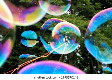 large blue with pink and lilac soap bubbles on a background of green trees, side view. soap bubbles at the party - Powered by Shutterstock