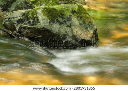 A large boulder in a fast-flowing river in a forest in southern France on a sunny summer day. Image with motion blur in the water and copy space. Metaphor for steadfastness in emotions.