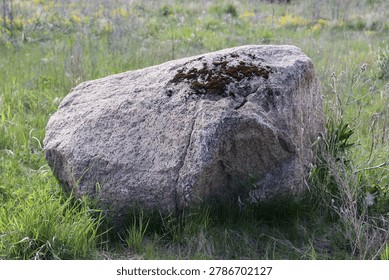 Large Boulder in a Wild Grassland. A dramatic natural landscape featuring a massive, weathered boulder resting prominently in a sea of wild grass and meadow vegetation. The boulder, composed of grayish-brown granite or limestone, dominates the foreground with its rough, textured surface, marked by patches of dark lichen or moss that add depth and contrast. Its irregular, rounded shape suggests it was deposited by ancient glacial activity, making it a fascinating geological feature. Surrounding the rock, tall grasses sway gently, their blades a mix of vibrant green and golden hues, interspersed with wildflowers and low-lying shrubs that hint at a thriving ecosystem. The background reveals an expansive grassland, stretching out toward a line of distant trees under a soft, overcast sky. The natural lighting is diffused, casting a subtle, even glow over the scene and enhancing the earthy tones of the rock and the lush greenery. This image captures the raw beauty and timelessness of nature, evoking a sense of solitude and the enduring power of the earth. It is ideal for travel and outdoor adventure content, nature documentaries, landscape photography portfolios, or stock imagery for environmental and geological themes.
