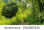 A large boulder in the woods is among bright green trees. The location of the landscape is Rocky Arbor State Park in Wisconsin, USA.