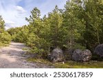 Large boulders near a path in the forest. Photo