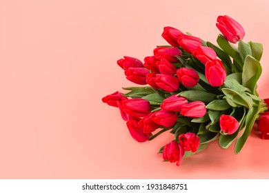 A large bouquet of red spring tulips on a pink background. A holiday card. Copy space
