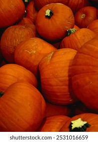 large box with small pumpkins