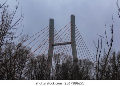 A large bridge tower is visible through bare branches, set against a gray, overcast sky during winter. - Powered by Shutterstock