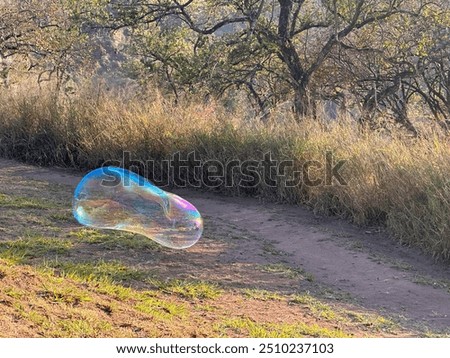 A large brightly coloured bubble floating in the air  across the open field 