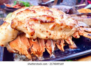 Large Broiled  Succulent Lobster Tail.